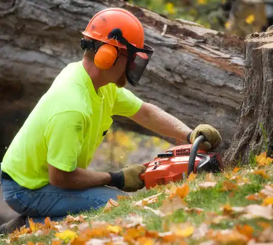 tree services Crugers